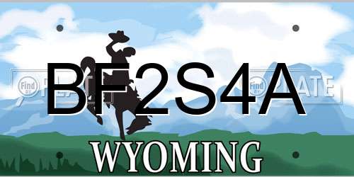 BF2S4A Wyoming License Plate