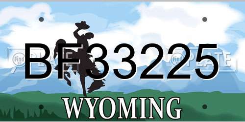 BF33225 Wyoming License Plate