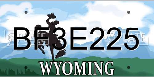 BF3E225 Wyoming License Plate