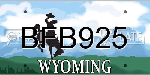 BFB925 Wyoming License Plate
