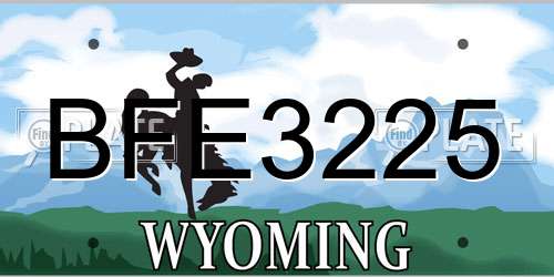 BFE3225 Wyoming License Plate