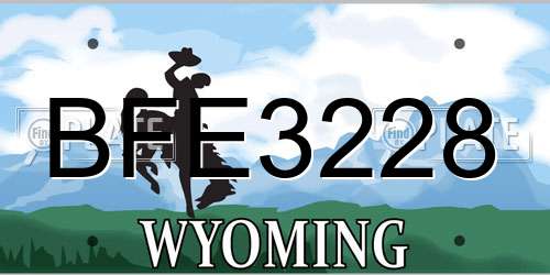 BFE3228 Wyoming License Plate