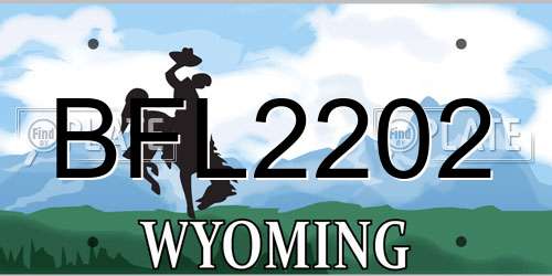 BFL2202 Wyoming License Plate
