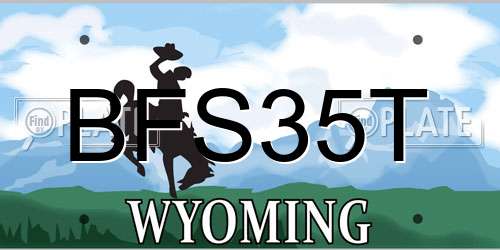 BFS35T Wyoming License Plate