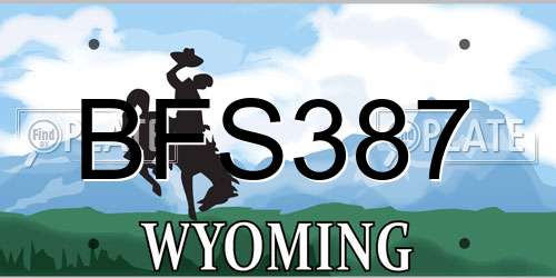 BFS387 Wyoming License Plate