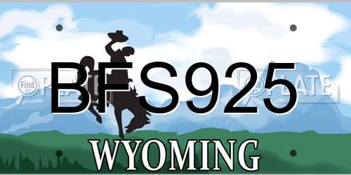 BFS925 Wyoming License Plate