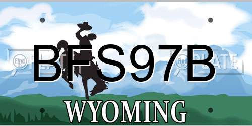 BFS97B Wyoming License Plate