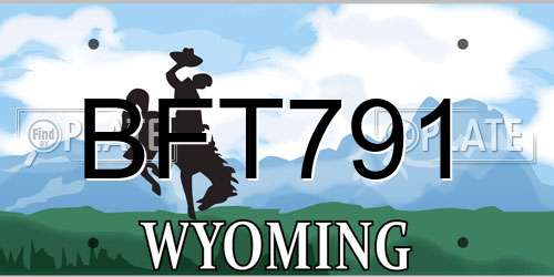 BFT791 Wyoming License Plate