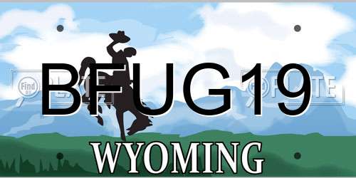 BFUG19 Wyoming License Plate