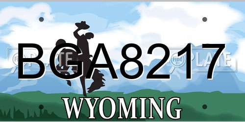 BGA8217 Wyoming License Plate