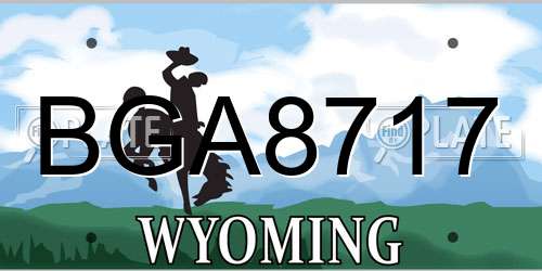 BGA8717 Wyoming License Plate