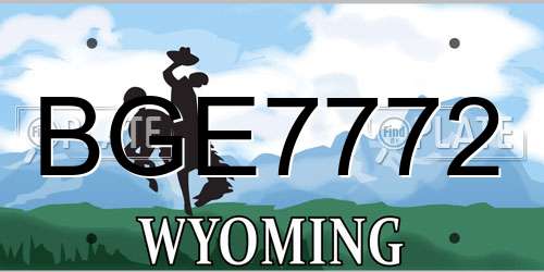 BGE7772 Wyoming License Plate