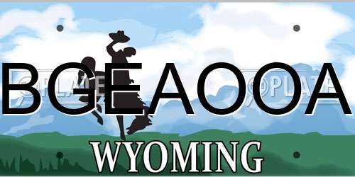 BGEAOOA Wyoming License Plate