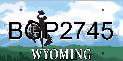BGP2745 Wyoming License Plate