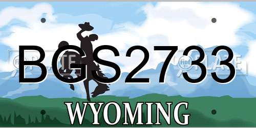 BGS2733 Wyoming License Plate