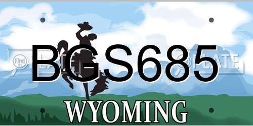 BGS685 Wyoming License Plate