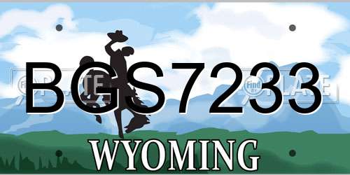BGS7233 Wyoming License Plate