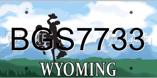 BGS7733 Wyoming License Plate