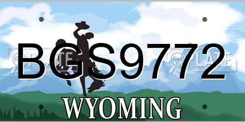 BGS9772 Wyoming License Plate