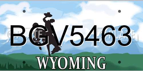 BGV5463 Wyoming License Plate