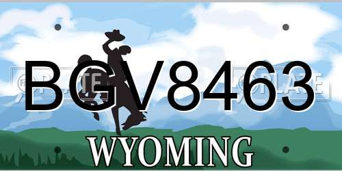 BGV8463 Wyoming License Plate