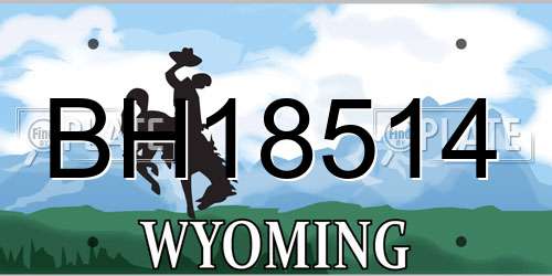 BH18514 Wyoming License Plate