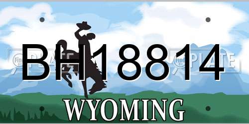 BH18814 Wyoming License Plate