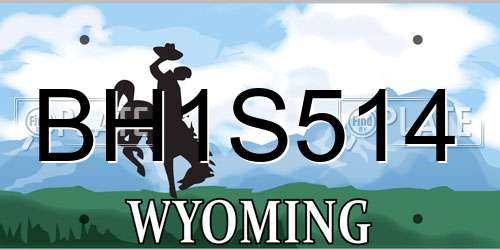 BH1S514 Wyoming License Plate