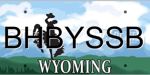 BHBYSSB Wyoming License Plate
