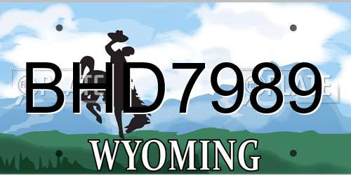 BHD7989 Wyoming License Plate