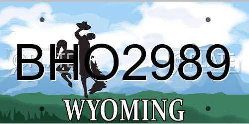 BHO2989 Wyoming License Plate