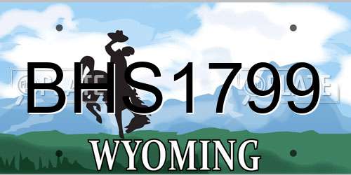 BHS1799 Wyoming License Plate