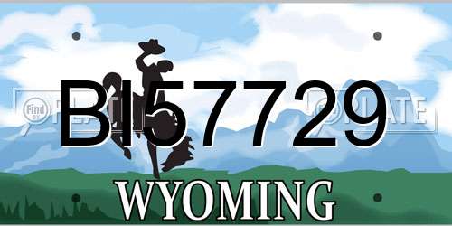 BI57729 Wyoming License Plate