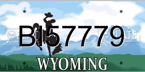 BI57779 Wyoming License Plate