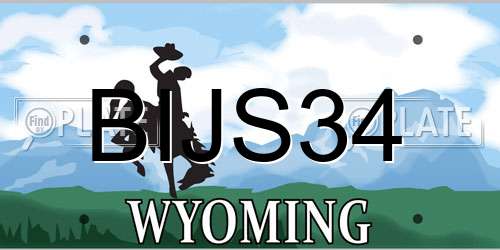 BIJS34 Wyoming License Plate