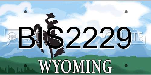 BIS2229 Wyoming License Plate