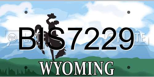 BIS7229 Wyoming License Plate