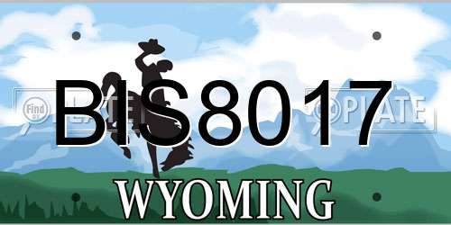 BIS8017 Wyoming License Plate