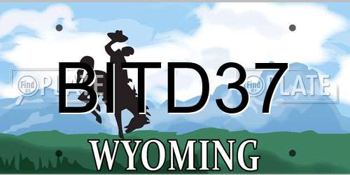 BITD37 Wyoming License Plate