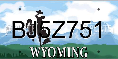 BJ5Z751 Wyoming License Plate
