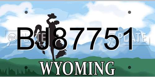 BJ87751 Wyoming License Plate