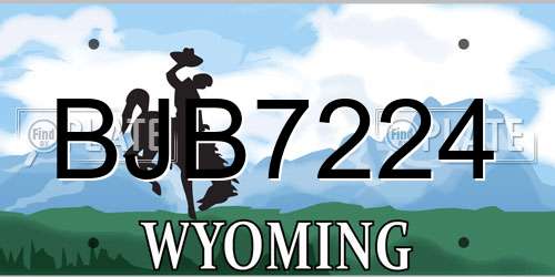 BJB7224 Wyoming License Plate