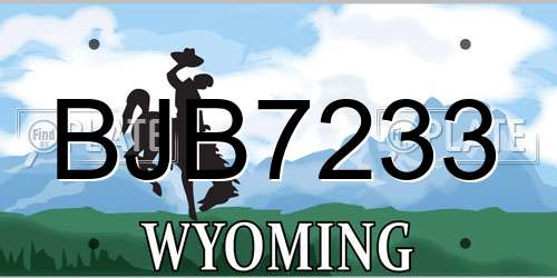 BJB7233 Wyoming License Plate