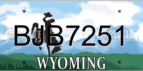 BJB7251 Wyoming License Plate
