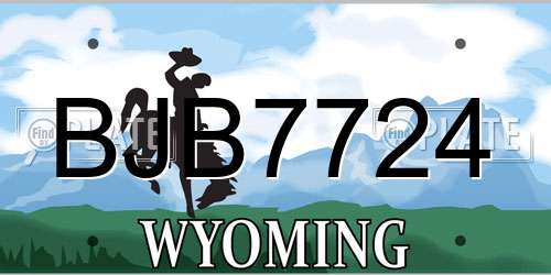 BJB7724 Wyoming License Plate