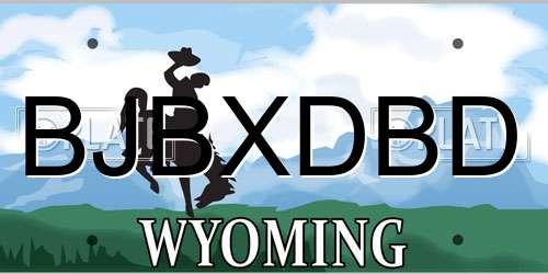 BJBXDBD Wyoming License Plate