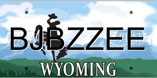 BJBZZEE Wyoming License Plate