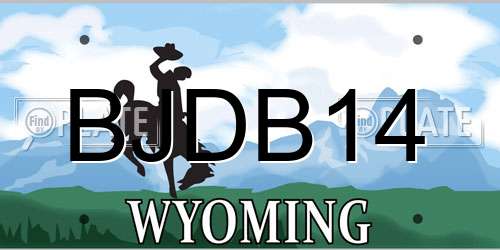 BJDB14 Wyoming License Plate