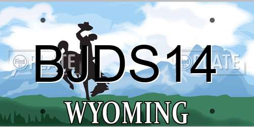 BJDS14 Wyoming License Plate