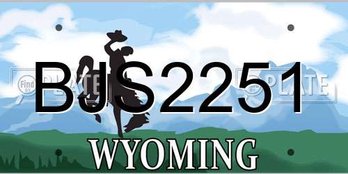BJS2251 Wyoming License Plate